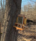 Squirrel Mini Picnic Table Peanut Feeder | Holds Peanuts and Corn on the Cob | Cedar Wood | Add On Starter Bag of Squirrel Food is Available