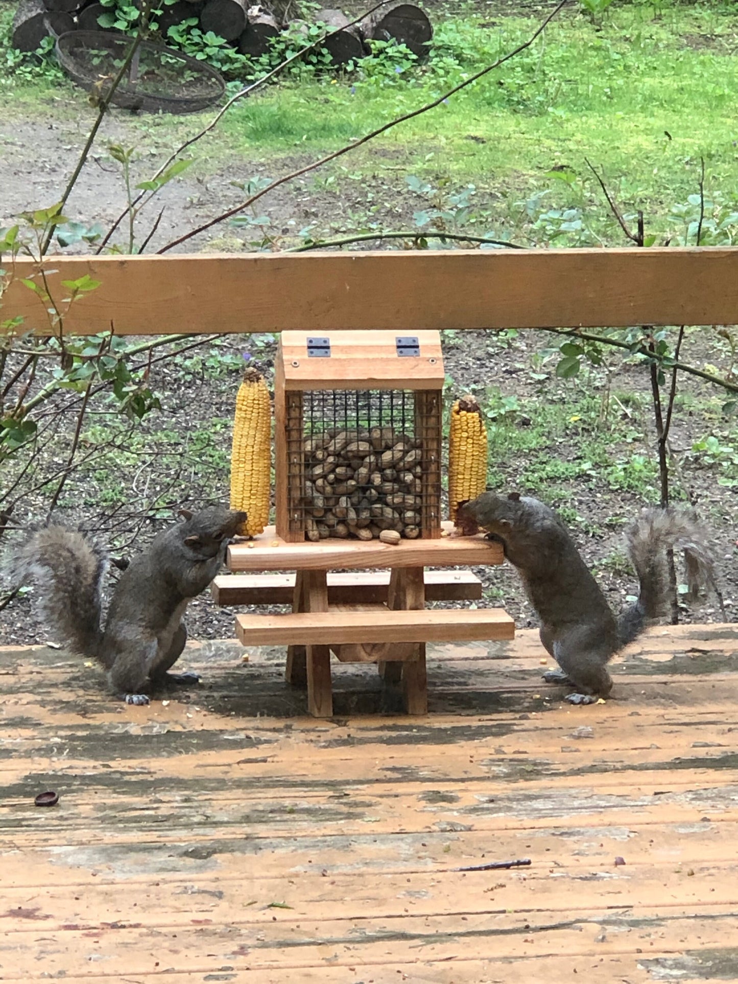 Squirrel Mini Picnic Table Peanut Feeder | Holds Peanuts and Corn on the Cob | Cedar Wood | Add On Starter Bag of Squirrel Food is Available