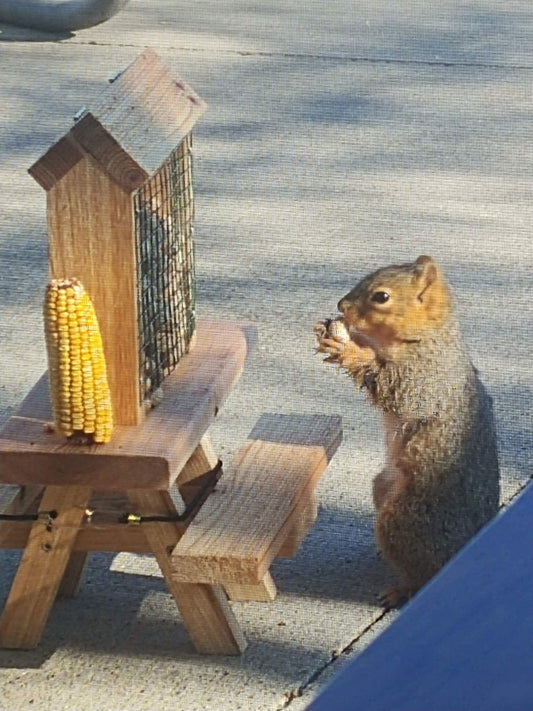 Squirrel Mini Picnic Table Peanut Feeder | Holds Peanuts and Corn on the Cob | Cedar Wood | Add On Starter Bag of Squirrel Food is Available