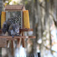 Squirrel Mini Picnic Table Peanut Feeder | Holds Peanuts and Corn on the Cob | Cedar Wood | Add On Starter Bag of Squirrel Food is Available