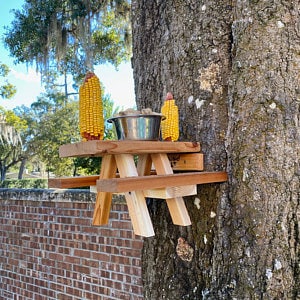 Squirrel Mini Picnic Table Feeder with Bowl | Holds Peanuts and Corn on the Cob | Cedar Wood | Add On Starter Bag of Squirrel Food Available