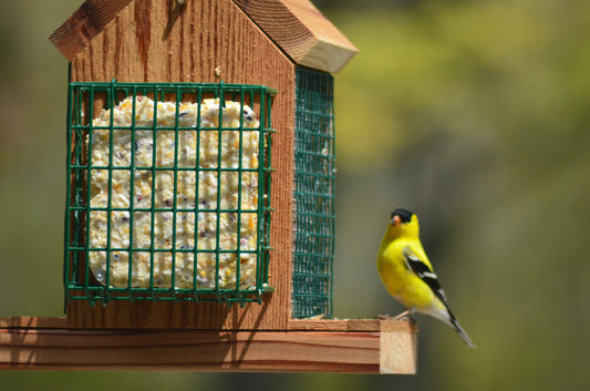 Hanging Bird Feeder with Double Suet Cake Feeders| Holds Bird Feed and Suet Cakes | Handmade from Solid Cedar Wood | FREE SHIPPING