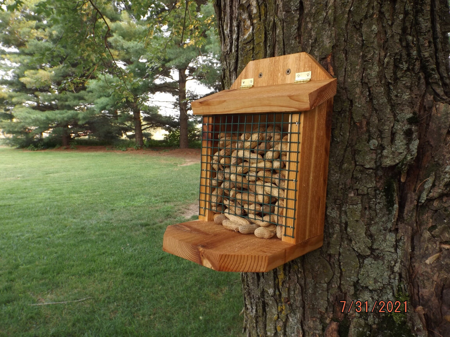 Peanut Feeder for Squirrels and Birds | Mounts on Tree, Fence, Wall or Railing | Solid Cedar Wood | Add On Starter Bag of Peanuts Available