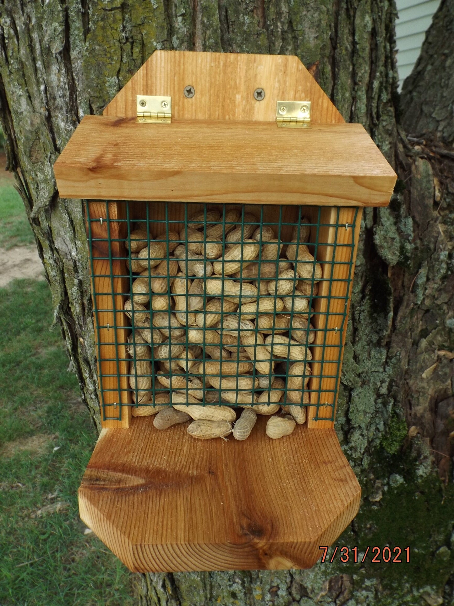 Peanut Feeder for Squirrels and Birds | Mounts on Tree, Fence, Wall or Railing | Solid Cedar Wood | Add On Starter Bag of Peanuts Available