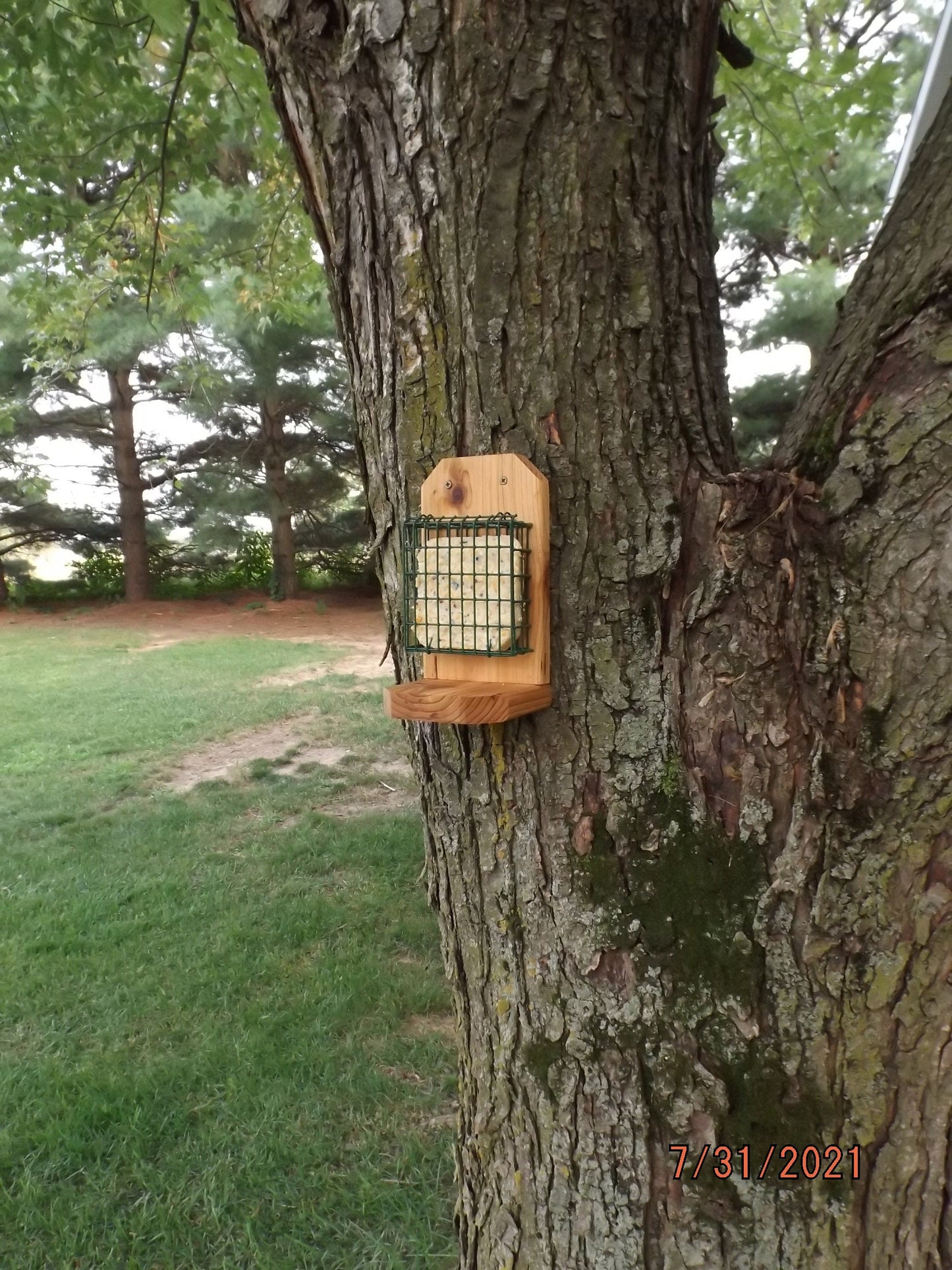 Suet Cake Bird Feeder Mounts on Tree, Railing, Wall or Fence | Handmade from Solid Cedar Wood | FREE Shipping