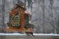 Hanging Bird Feeder with Double Suet Cake Feeders | EXTRA LARGE SIZE | Holds Bird Feed and Suet Cakes | Handmade from Solid Cedar Wood