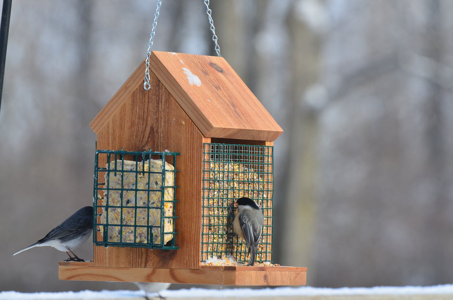 Hanging Bird Feeder with Double Suet Cake Feeders | EXTRA LARGE SIZE | Holds Bird Feed and Suet Cakes | Handmade from Solid Cedar Wood