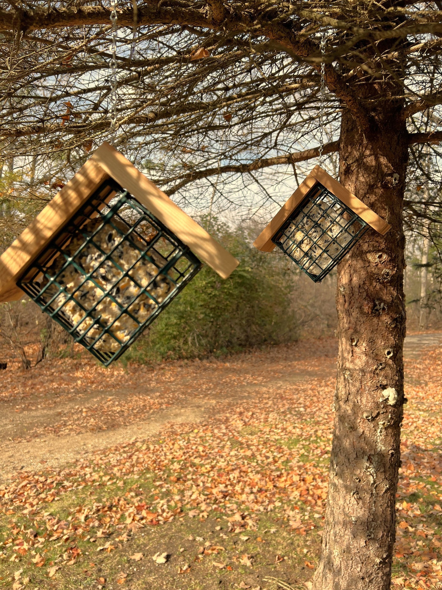 Suet Bird Feeder, Hanging Suet Feeder Cage, SET OF 2, Single Decorative Woodpecker Feeders, Handmade from Solid Cedar Wood, FREE Shipping