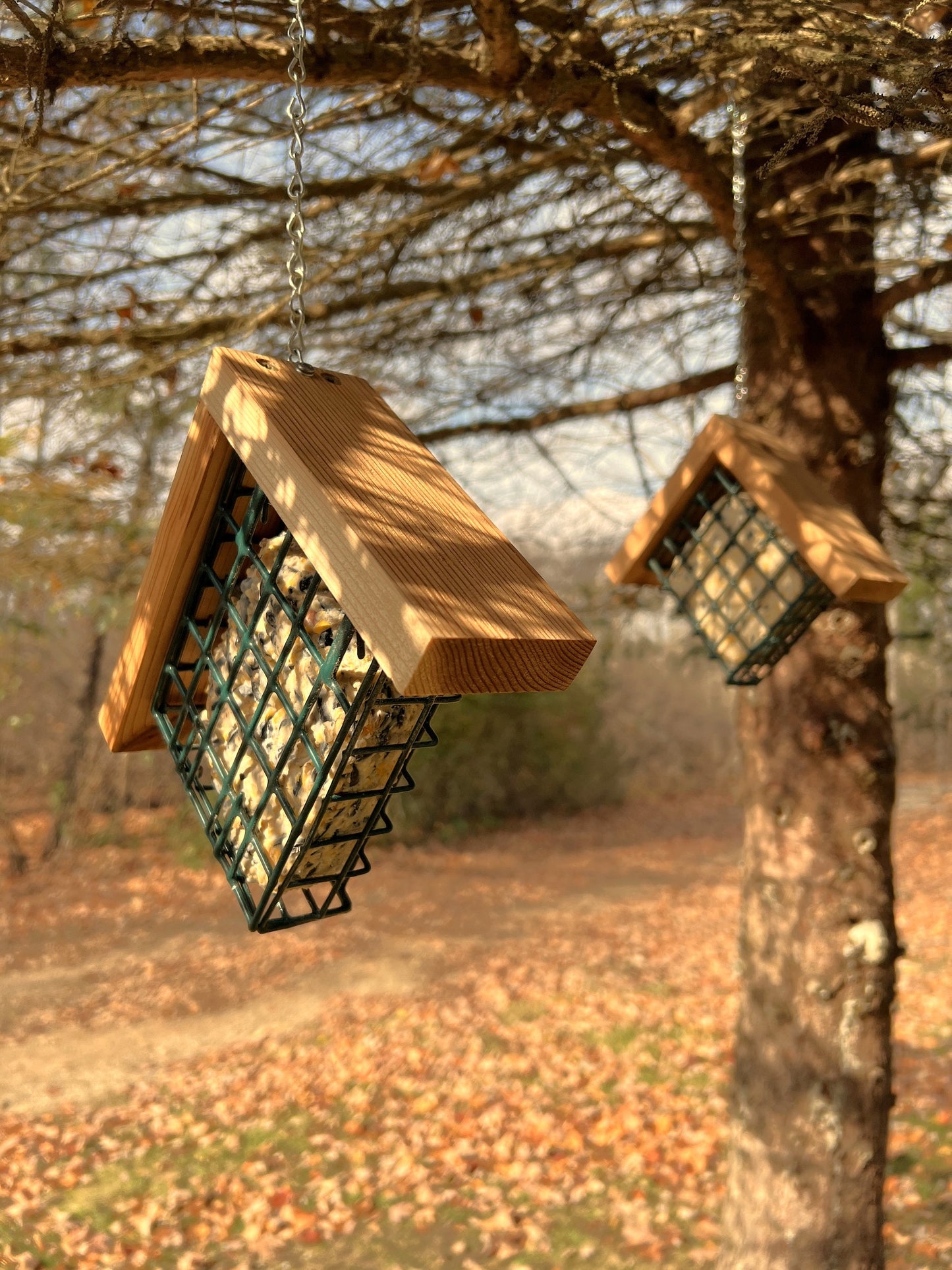 Suet Bird Feeder, Hanging Suet Feeder Cage, SET OF 2, Single Decorative Woodpecker Feeders, Handmade from Solid Cedar Wood, FREE Shipping