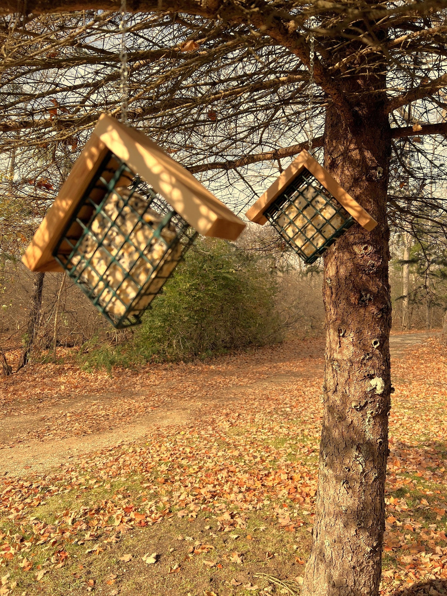 Suet Bird Feeder, Hanging Suet Feeder Cage, SET OF 2, Single Decorative Woodpecker Feeders, Handmade from Solid Cedar Wood, FREE Shipping