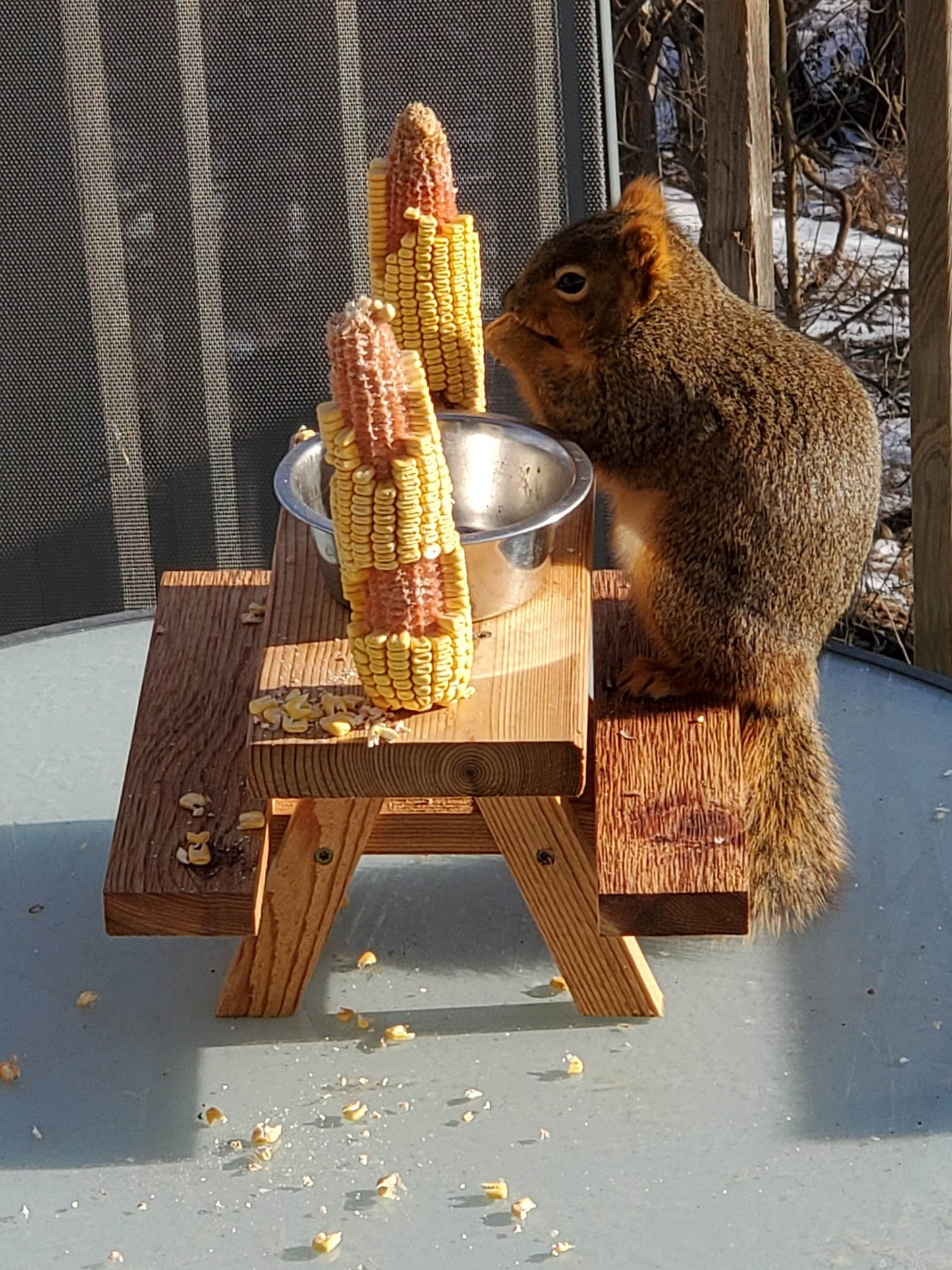 Squirrel Mini Picnic Table Feeder with Bowl | Holds Peanuts and Corn on the Cob | Cedar Wood | Add On Starter Bag of Squirrel Food Available